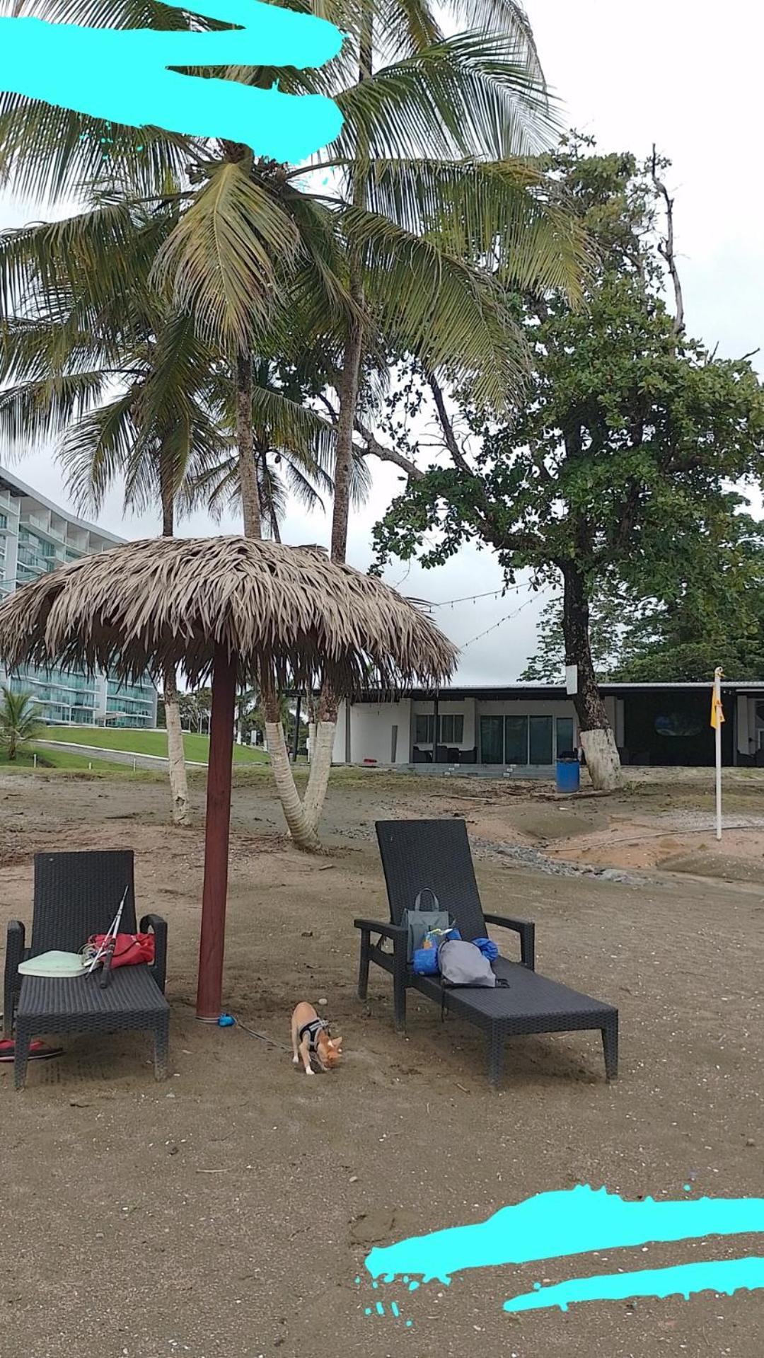 Apartamento En Balabeach Maria Chiquita In Front Of The Beach 2Hab Colon Pokój zdjęcie